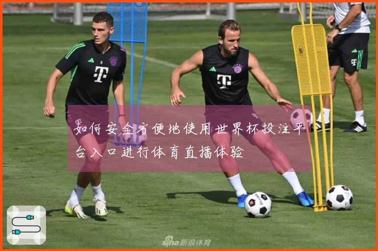 如何安全方便地使用世界杯投注平台入口进行体育直播体验