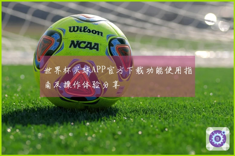 世界杯买球APP官方下载功能使用指南及操作体验分享