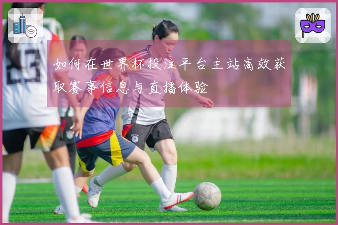 如何在世界杯投注平台主站高效获取赛事信息与直播体验