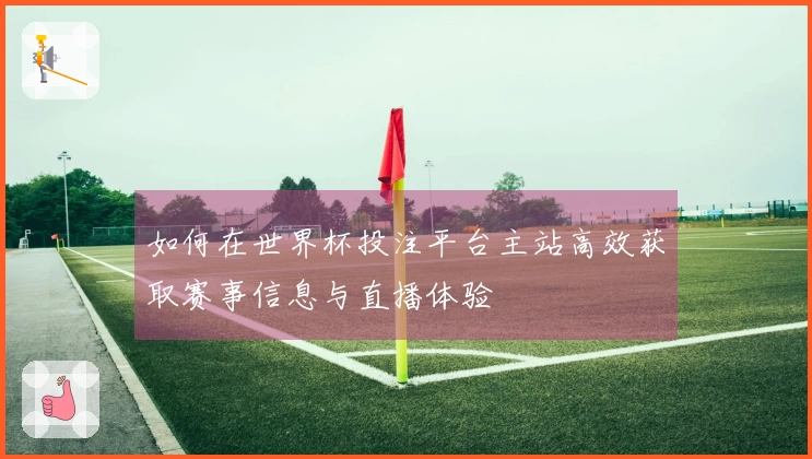 如何在世界杯投注平台主站高效获取赛事信息与直播体验