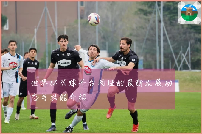 世界杯买球平台网址的最新发展动态与功能介绍