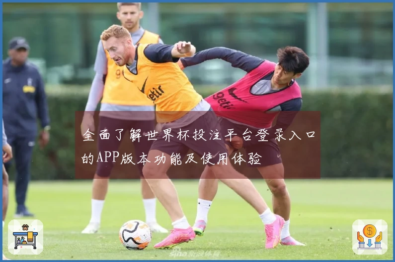 全面了解世界杯投注平台登录入口的APP版本功能及使用体验